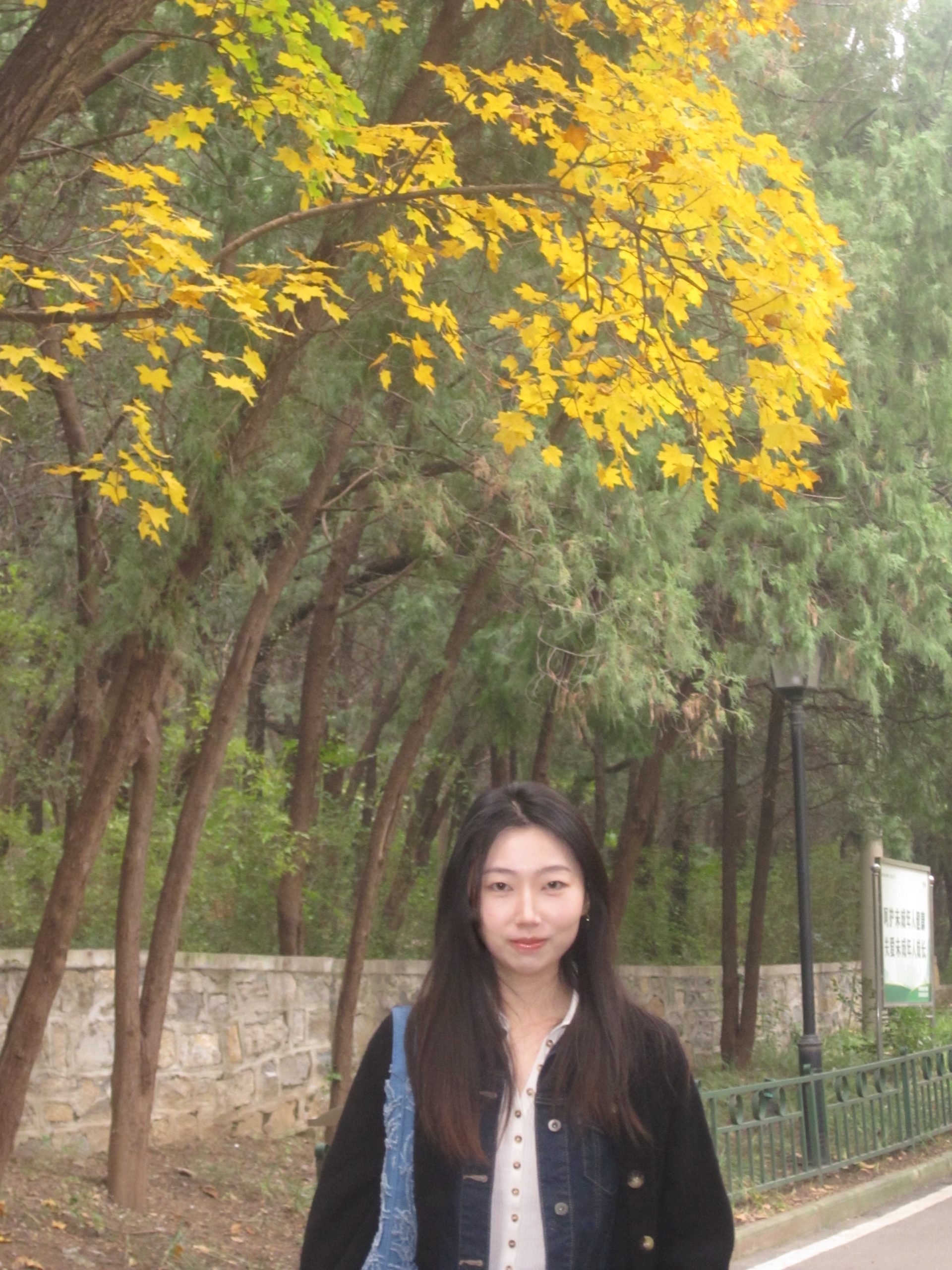 Wenjin Liu